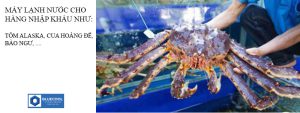 máy lạnh hải sản alaska