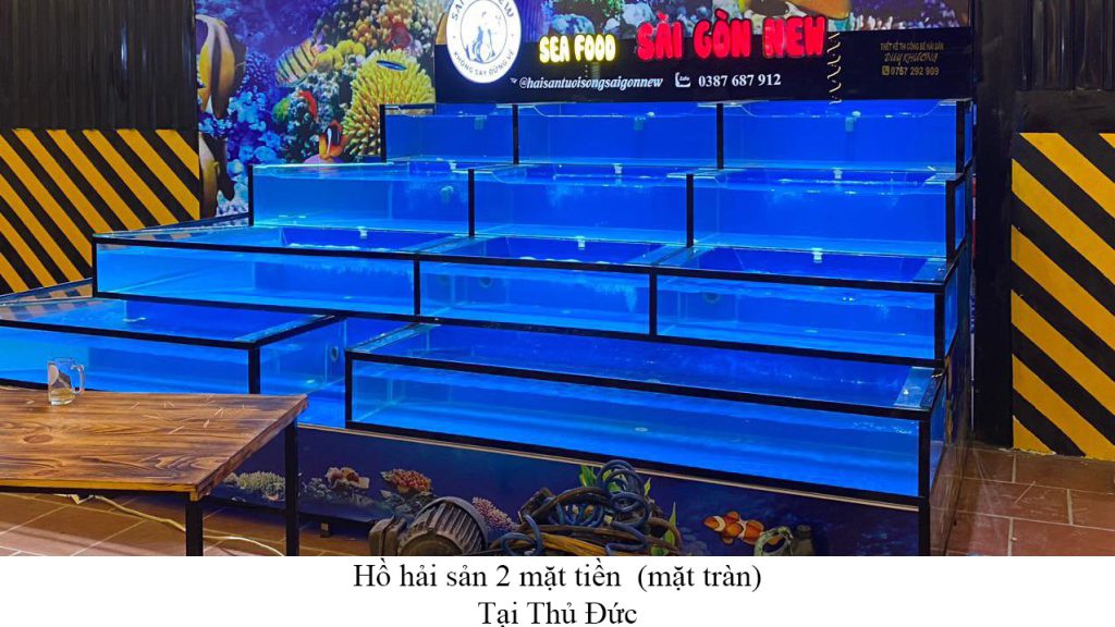 thi công hồ hải sản