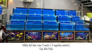 thi công hồ hải sản