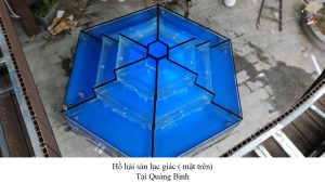 thi công hồ hải sản